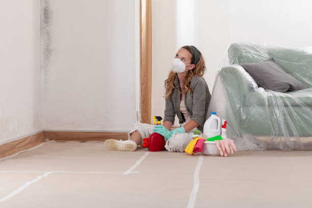 Reliable Mold Remediation contractor in Henderson, MD by Cheap Mold Removal
